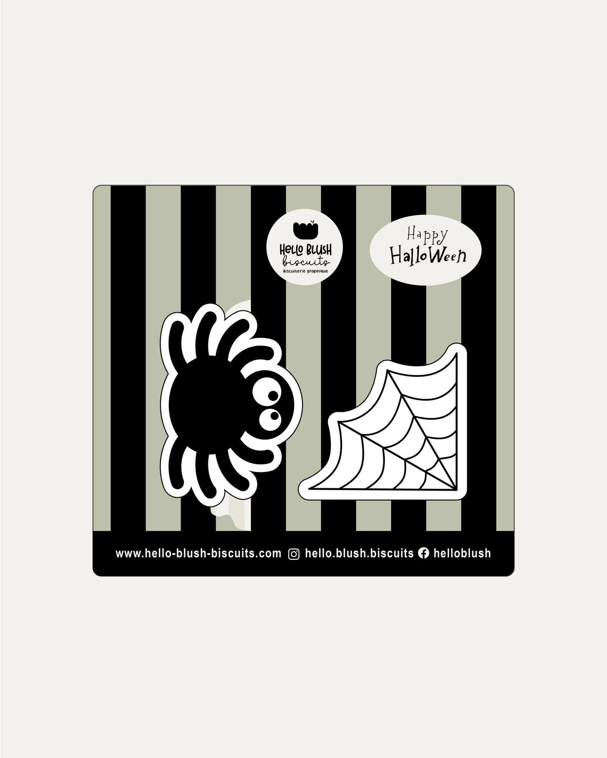 Duo Halloween araignée et toile
